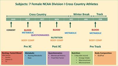 Performance and Health Decrements Associated With Relative Energy Deficiency in Sport for Division I Women Athletes During a Collegiate Cross-Country Season: A Case Series